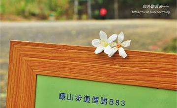 鳳鳴社區尋幽：藤山步道連走臥龍坡~~