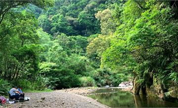 新北坪林｜金瓜寮魚蕨步道｜夏日親水野溪小徑