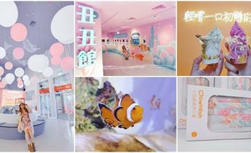 2021澎湖新景點｜康倪海洋生技｜丑丑館來看尼莫啦!數十種小丑魚生態觀察｜網美打卡牆｜繽紛特調氣泡飲及霜淇淋｜香氛DIY體驗 