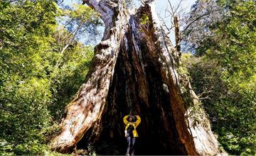 用爬山和玩水時光重整自己！新竹尖石景點x原住民文化x登山玩水大補帖