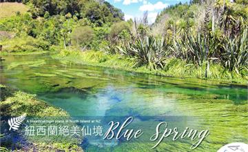 紐西蘭｜Blue Spring北島必去，絕美夢幻藍泉秘境