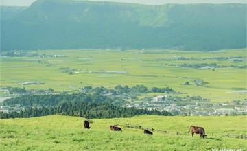 阿蘇山九州地質公園春夏篇 活火山上自駕兜風賞青草原