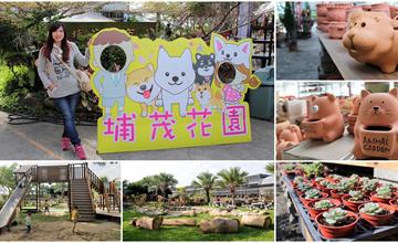 彰化芬園｜埔茂花市：幸福花園咖啡、多肉植物及園藝造景、噴水池木藝造景，還有溜滑梯盪鞦韆和戲沙池