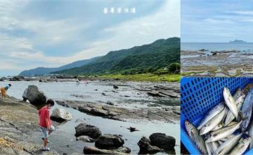 宜蘭頭城｜蕃薯寮漁港：看海、眺望龜山島、海蝕平台、觀察海洋生態，北部濱海公路旁小漁港