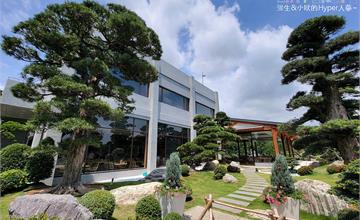 彰化｜松柏軒：日式松柏庭園造景、大片落地窗景觀餐廳！順遊台版兼六園之稱的「成美文化園」～