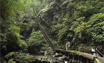 宜蘭｜林美石磐步道：林蔭夾道、清新綠意，宜蘭人氣步道推薦
