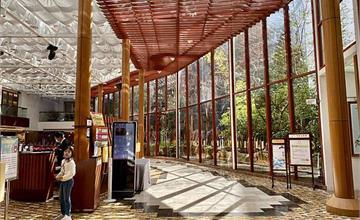 嘉義｜阿里山賓館：山景飯店推薦！視野遼闊，飽覽日出、晚霞、雲海，悠遊鐵道、神木、山林