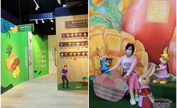 台南│芒果農創玫瑰綠柏園《芒果故事館》"芒芒"果海找最愛 