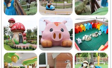 嘉義民雄｜三隻小豬觀光農場：童話般的親子動物農場！親近天竺鼠、水豚，還有狐獴陪吃午餐