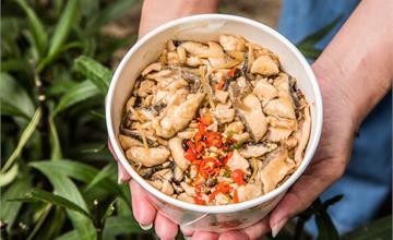 三重│台南林無刺虱目魚/無刺虱目魚肉堆到滿！