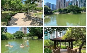 新竹竹北｜水圳森林公園：漫步湖畔，享受都市中的寧靜