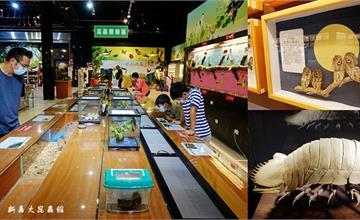 嘉義｜新嘉大昆蟲館：和昆蟲面對面！保育類昆蟲模型、國內外昆蟲標本，還有旋轉彩蝶柱、蝴蝶溫室花園