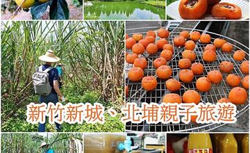 新竹｜一日遊行程懶人包：體驗甘蔗和柿子DIY活動，到老街大啖美食！新竹親子行程景點推薦