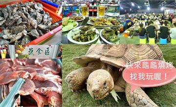小琉球｜龜龜燒烤，夯肉看龜親子同樂正夯！