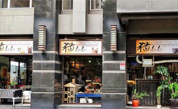 新北林口｜貓泰泰咖啡餐廳：貓奴必訪泰式餐廳