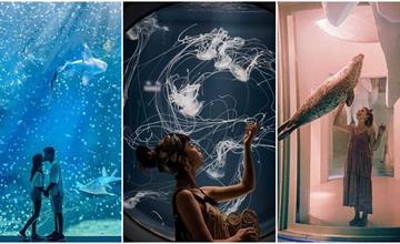 Xpark最新攻略！桃園水族館必看七大展區、門票優惠、交通、周邊景點一次了解