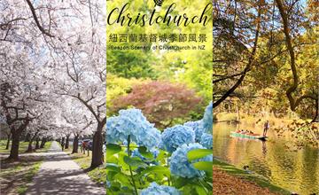 紐西蘭基督城｜走進南島裡四季美如畫的植物園，還有春天限定超美海格利公園櫻花大道！ 