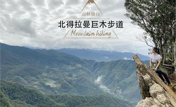 新竹│北得拉曼巨木步道 登內鳥嘴山賞山毛櫸 心得難度分享