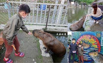 桃園｜花鹿秘境 李家摸蜆農場：近距離餵食水豚君、梅花鹿，體驗摸蜆、釣魚、釣螯蝦、烤肉，門票150元隨你玩！