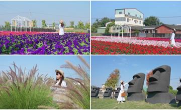 彰化｜董家花田新樣貌!12/4開園繽紛花海、摩艾石像搶先拍~