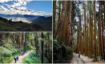 嘉義阿里山｜特富野古道：步道全程詳細解析！沿著日據時期舊鐵道，輕鬆親近大自然