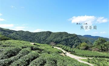 新北三峽｜熊空茶園：藏身山林間的秘境茶園，遠眺城鎮、欣賞山間景色！