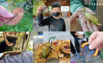 南投｜木生昆蟲博物館：昆蟲迷必訪，與昆蟲最親密的接觸！專業導覽、珍藏豐富的蝴蝶和昆蟲標本