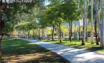 台中｜文心森林公園：漫步城市中的靜謐公園，呼吸芬多精！散步野餐、小孩放電的好地方