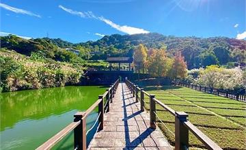 追著《茶金》到貓空微旅行，遠離塵囂新主張～