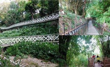 嘉義｜竹崎親水公園：漫步天空走廊俯瞰花仙子步道，走過吊橋賞山巒疊障
