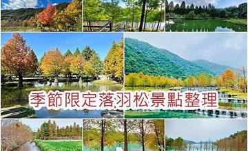 2022全台落羽松景點懶人包｜全台13個落羽松打卡點，季節限定夢幻美景別錯過