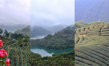石碇夢幻仙境千島湖、坪林茶香親水吊橋、深坑豆腐好食光