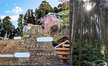 重新開園！高雄「藤枝國家森林遊樂區」門票限時半價!
