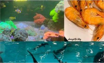 宜蘭｜金車生技水產養殖研發中心：餵鯊魚體驗，近距離認識海洋動物！必吃新鮮招牌蝦子