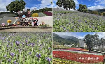 台北｜北投社三層崎公園：第二期花季登場！大片薰衣草花田，打卡台版富良野浪漫紫色花海