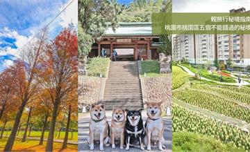 桃園｜市區5個隱藏秘境：神秘的鐵道、絕美落羽松大道、首座梯田公園