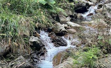 台中｜唐麻丹蝴蝶谷登山步道：入門谷關七雄！健行原始森林步道，順遊蝴蝶谷瀑布