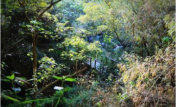 高雄大社｜觀音山：健行觀音山步道登小百岳！高雄十大名山、踏青親近自然好去處