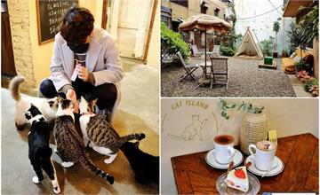新竹｜貓嶼 Cat Island：貓奴的天堂！絕美巷弄老宅咖啡廳，還有10隻貓店長相伴