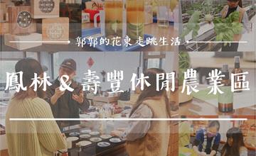 鳳林&壽豐休閒農業區6大旅遊體驗行程,花蓮中部的家庭出遊新選擇
