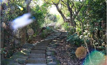 高雄｜大社觀音山風景區：挑戰大覺寺500石階，最陡的天梯！