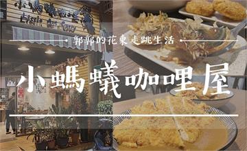 花蓮小螞蟻咖哩屋Little Ant，豬排真的跟臉一樣大！