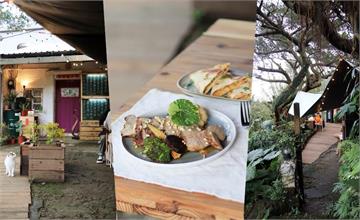 躲在金瓜石樹林裡的甜點餐酒館！來過一次就令人著迷的秘境餐廳