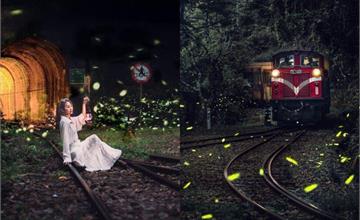 嘉義｜阿里山螢火蟲季：7大賞螢秘境推薦！必訪梨園寮車站、賞螢步道、彩虹生態村