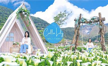 陽明山海芋竹子湖一日遊 最美打卡點名陽匍農莊+豆留森林
