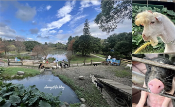 宜蘭｜宜農牧場：天竺鼠、羊、小豬，近距離和多種可愛動物互動！