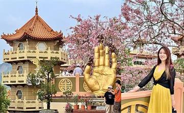 台南｜楠西八大必訪景點，兩天一夜懶人包！梅酒DIY、賞螢泡、泡溫泉，行程好玩又好吃