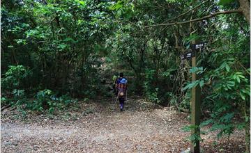 高雄｜壽山國家公園：柴山台泥舊地磅輸送口遺址，步行三小時親近自然！