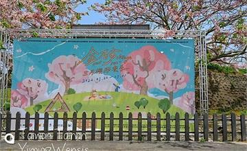 台南｜金砂社區花旗木步道：打卡浪漫「泰國櫻花」，漫遊步道賞粉紅花旗木盛開