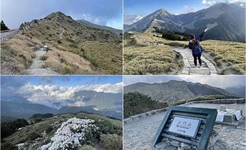 南投｜石門山：30分鐘登頂百岳！來趟合歡山之旅，欣賞壯闊高山美景、高山杜鵑